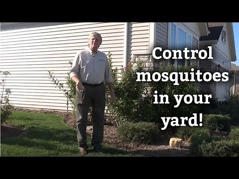 Mosquito Control for Lawns & Yards | Stop Mosquitoes Fast!