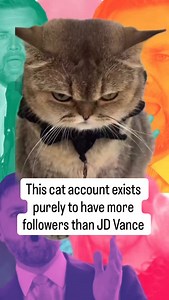 1,260,000 and counting | Cats on a Couch