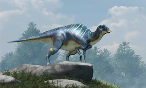 2 Dinosaurs that Lived in Oregon (And Where to See Fossils Today)