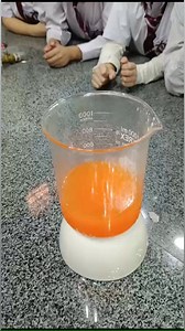 Grade Two's Lava Lamp Lab! Colors swirled, bubbles popped, and science came alive as we explored liquids, gases, and reactions. Learning has never been this exciting!#TheEdexSchool #ScienceExperiment | The Edex School