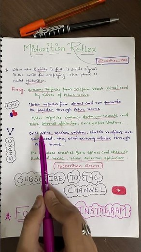 Micturation reflex #physiology #micturation short mbbs topic revision.