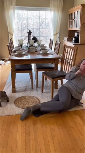 Big Toad make human got 3 legs 😹🐶 #funny