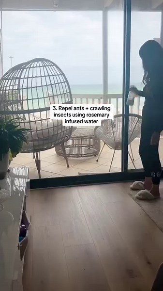 2.2M views · 10K reactions | Keep bugs, insects and spiders away from your home with these simple tricks ️ #cleaninghacks #cleaningtips #cleanhome #homesweethome #lowtoxcleaning #cleaningaccount | Chantel Mila - Home Tips | Facebook