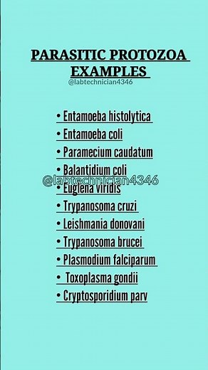 Parasitic protozoa examples||Protozoa examples animals||What are10 examples of Protozoa#new#parasite