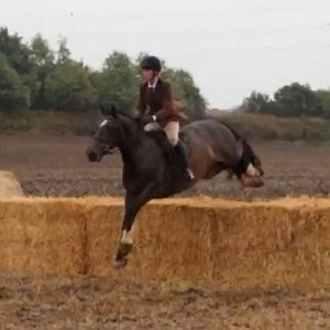 8.8K views · 165 reactions | TOP CLASS HUNTER & ALLROUNDER COB...