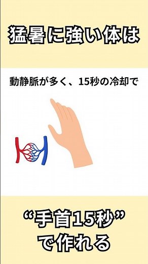 【熱中症対策】冷水で手首を15秒冷やすだけで暑熱順化 #健康#雑学#熱中症 #豆知識