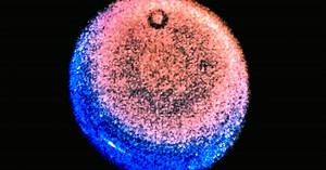 Scientists discover X-rays emitting from Uranus - Washington Examiner