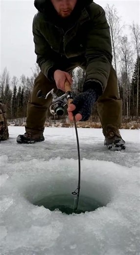 Pulled the Rod Straight Down Fishing Technique