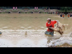 How To Catch Small Fish Amazing Fishing Video in the World - Traditional Net Fishing Video