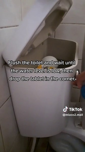 How to Use Blue Tablet Toilet Bowl Cleaner Effectively