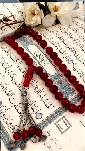 فيديوهات أنشأها tayba (@tandfufu8) باستخدام son original - Ali jabir❤️