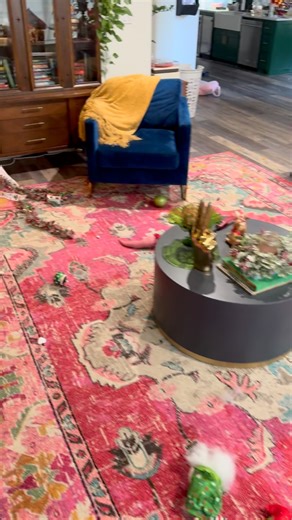 Let my frenchies take you on a tour of our Christmas Decor after we leave them home alone for the day. They’re so proud. 🤪😖🎄🫣😬😑🎅🏼🐶 #frenchie #christmas #afrenchiechristmas #dogsofinstagram | Sabrina Boykin Vaseleck