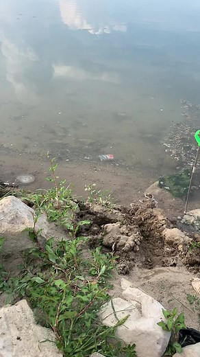 S (@sevvi00)’s videos with original sound - S