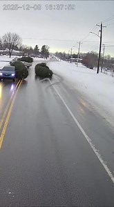 4.4M views · 1.6K reactions | CHRISTMAS TREE HAUL GOES WRONG AS GIANT...