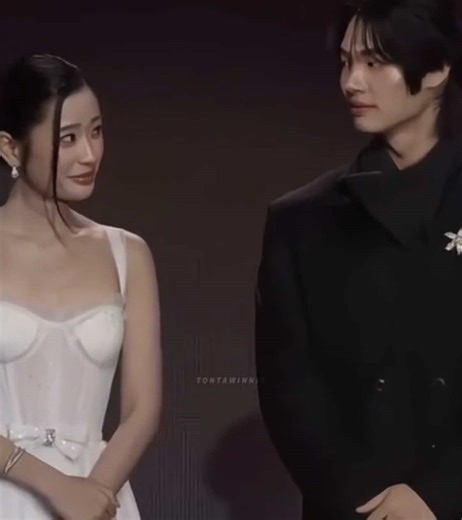 Understanding Tontawan and Win Metawin's Dynamic