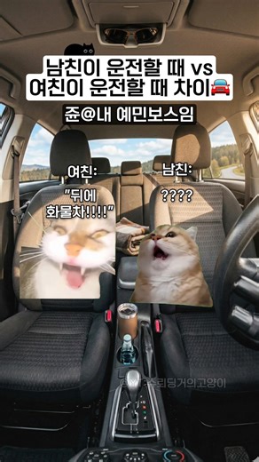 남친이 운전할 때 vs 여친이 운전할 때 차이ㅋㅋ
