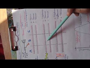 Conduction and Transmission of Nerve Impulse | Class 11 Biology | NCERT Explained 2025II in 8 min