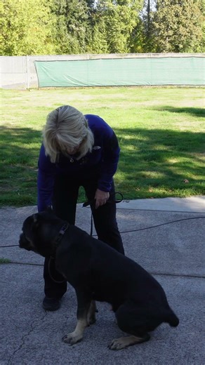 How to Build a Reliable Down Command