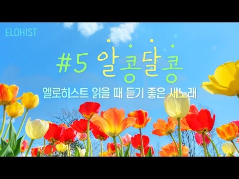 엘로히스트 읽을 때 듣기 좋은 새노래 #5