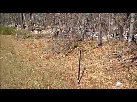 Electric Deer Fence Works And Why I Think It Is Effective