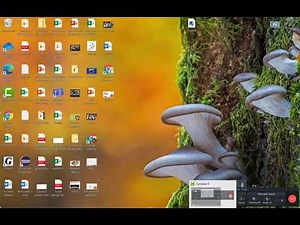 Excel Module 3 Second Half