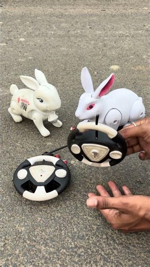 Remote Control Mini Rabbit & Big Rabbit🐇 Unboxing #shortfeed #shorts #rabbit #toys #video #unboxing