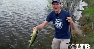 38K views · 434 reactions | All you need to know about fishing a Hammerhead Squarebill! Tyler Anderson will show you how with MONSTERBASS' Hammerhead Squarebill from this month's Lucky Tackle Box. SPECIAL OFFER ==> Use promo code FREE and we'll add an extra free lure to your box as a bonus gift! LuckyTackleBox.com | Lucky Tackle Box | Facebook