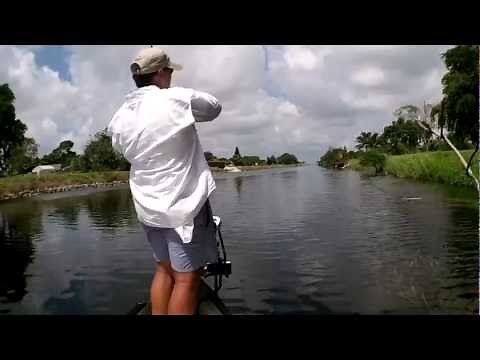 How To Catch Snakehead "Class 101''