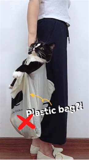 22K views · 562 reactions | Reduce. Reuse. Recycle. Find ways to cut plastic out of your daily life this #InternationalPlasticFreeDay! Watch the video to see how #Huawei supports the anti-plastic movement, featuring eco-friendly packaging & William the cat! #PlasticFreeWorld #SaveTheEarth #NoMorePlastic | Huawei | Facebook