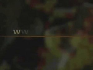 MGM Website Promo Fullscreen