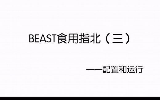 BEAST食用指北(三)——配置和运行