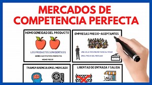 Mercado de Competencia Perfecta - Qué es, características y concepto