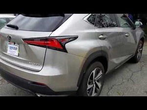2020 Lexus NX300 - 360 View Camera