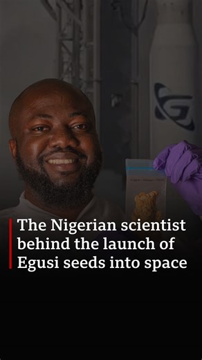 Nigerian scientist and founder of Space in Africa, Dr Temidayo Oniosun, made history in July as the first person to send an African crop to space. Dr Oniosun sent some egusi seeds, a species of melon seeds indigenous to West Africa, to space to study the behaviour of the seeds in microgravity. He sourced the egusi seeds from Oyo State, south-west Nigeria, and hopes the study of the seeds will also contribute to tackling food insecurity and hunger in Africa. | BBC News Africa