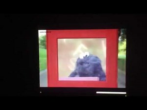 Sesame Street Theme Song Sunny Days Song 1999