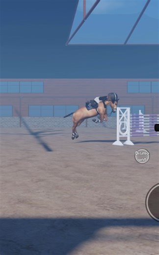 Footage of the fall from the competition #horseriding #horse #equestrianjourney #strideway #fail