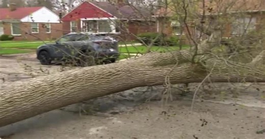 Strong winds damage homes in Riverwest