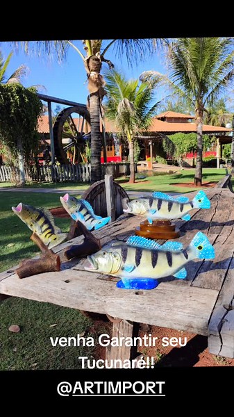 tucunaré inteiro e de parede!! garanta já o seu ! cores Opcionais disponível! consulte- nos !! whatsapp 31998876970 Chama Us Mininuss 🤠🇺🇸🇧🇷
