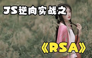 JS逆向实战_RSA