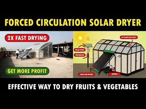 Forced Circulation Solar Dryer | Solar Dryer System for Fruits and Vegetables