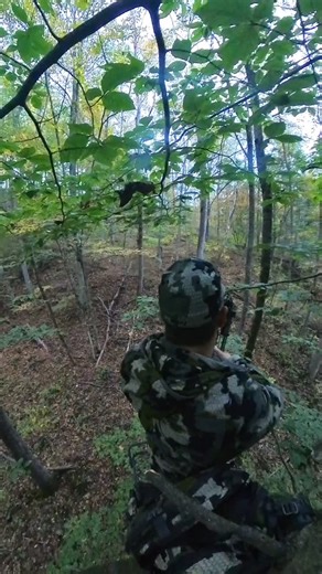 Smacked my 3rd doe of the season tonight! #doehunting #deerhunting | Jonas Troyer