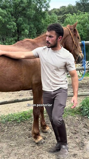 How to hold a horse's legs!