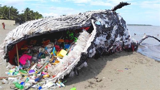 10 Bizarre Things That Mysteriously Washed Up On Shore