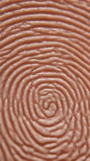 Fingerprints Are Unique – Amazing Human Fact!