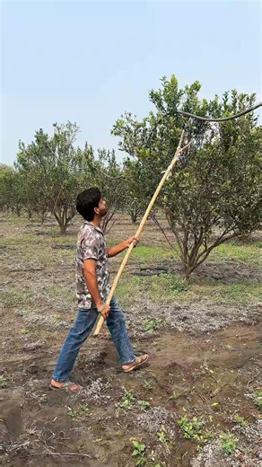 Drip Irrigation Pipes Ka use Start Ho Gaya