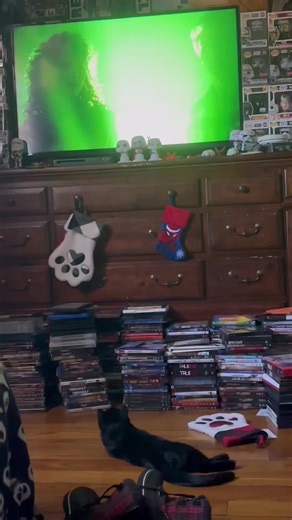 #screammovie #VozDosCriadores