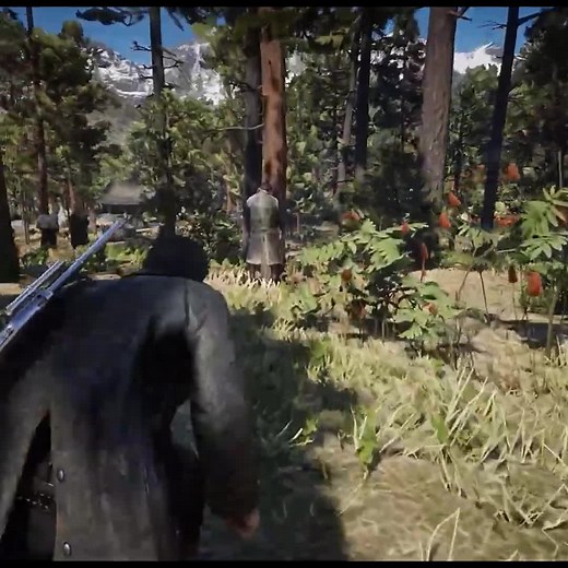 Red Dead Redemption 2 Aggressive Kills #reddeadredemption2 #rdr2