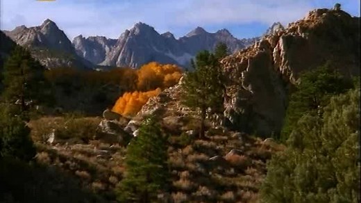 Milosc przychodzi powoli