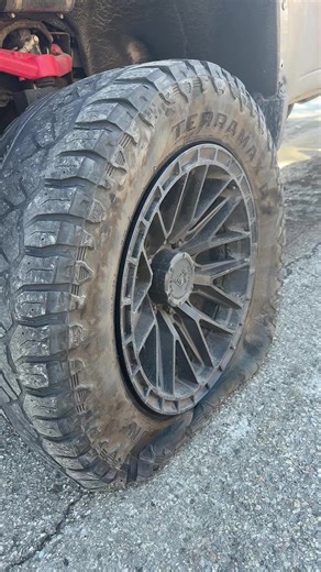 Rook 💯 (@tharookhauler)’s videos with original sound - Rook 💯