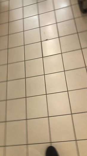 Лайф сталін#танго#дота2#дотамем#туда #12танго